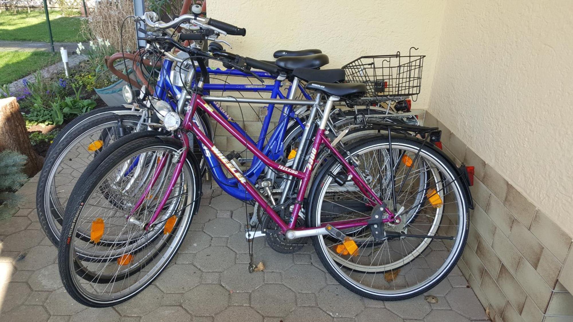 Steisslingen Ferienwohnung Miezerle מראה חיצוני תמונה