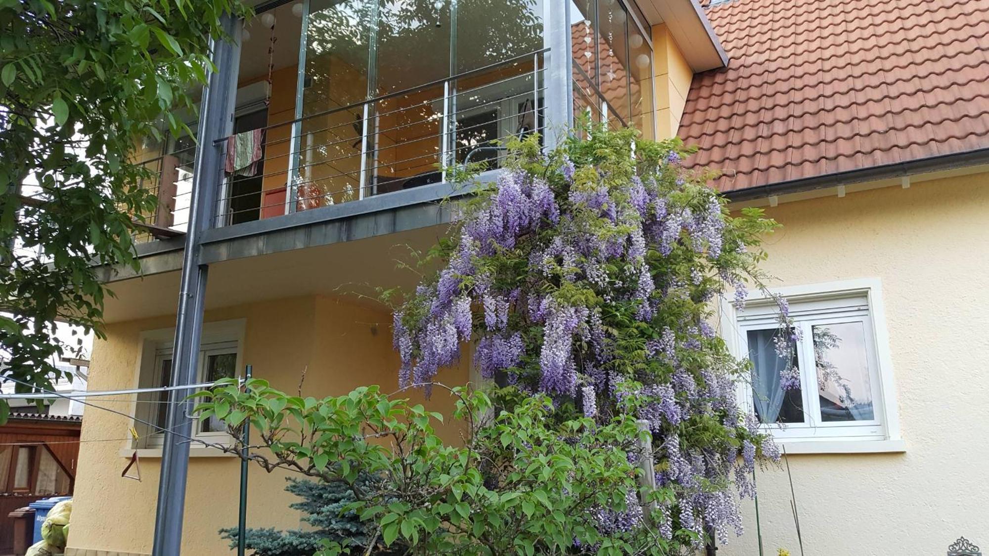 Steisslingen Ferienwohnung Miezerle מראה חיצוני תמונה